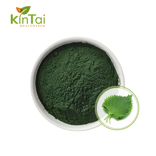 chlorophyll powder bulk